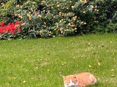 -上海博物馆-停车场