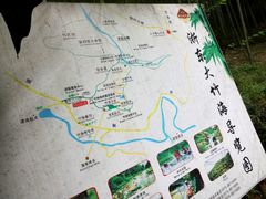-宁波浙东大竹海景区