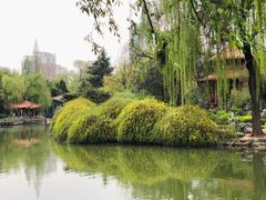 -西苑公园