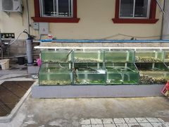 水产区-海岸风情蒸汽海鲜自助餐厅(家宴金手勺店)