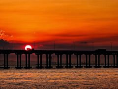 -宝安西湾红树林湿地公园