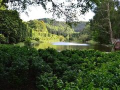 -深圳仙湖植物园