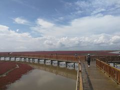 -红海滩国家风景廊道