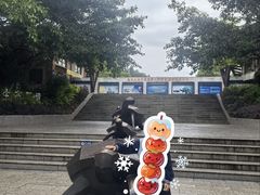 -广东惠东海龟国家级自然保护区