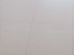 -粉粉乐鲷鱼烧(美罗城店)