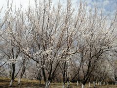 -长春世界雕塑园冰雪艺术天地