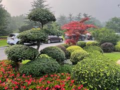 -棒棰岛宾馆景区