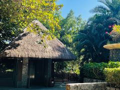 -三亚湾海居铂尔曼度假酒店