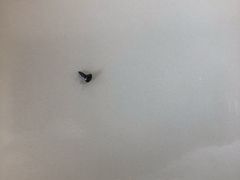 -绿杨馄饨临顿路店