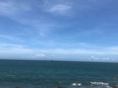 -广东惠东海龟国家级自然保护区