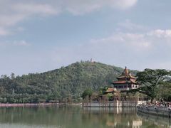 -顺峰山公园