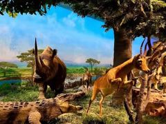 -国家自然博物馆