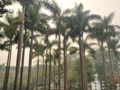 -广州雕塑公园