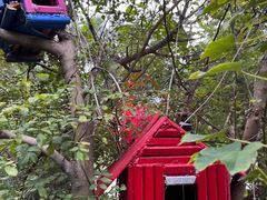 -小仙居·农家宴烤羊· 农庄