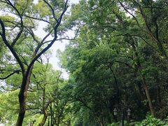 -杭州花家山庄