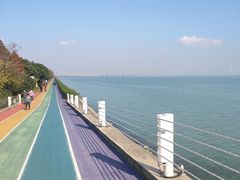 -贡湖湾湿地公园