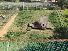 -青藏高原野生动物园