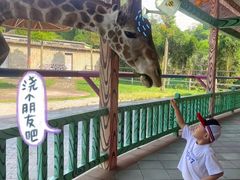 -贵州森林野生动物园