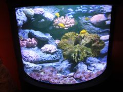-暹罗海洋世界