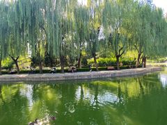 -团结湖公园
