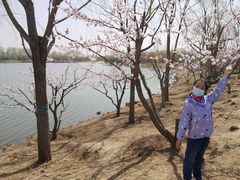 -东郊湿地公园