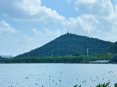 -顺峰山公园