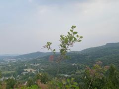 -北京西山国家森林公园