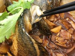 招牌香锅龙胆斑-鑫鸿达·海鲜闽菜热炒小馆(中山路店)