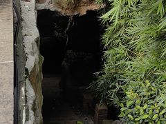 -张坝桂圆林公园