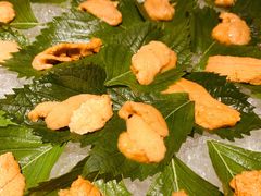 海胆刺身-初花·日本料理