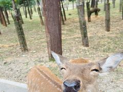-秦皇岛野生动物园