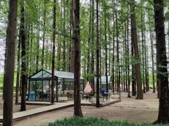 -渡海小渔村.老辈日照菜