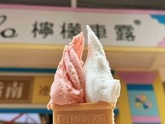 -柠檬车露(卖草地店)