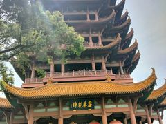 -黄鹤楼公园(黄鹤楼)