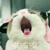 -鱼你在一起(南开天佑城店)