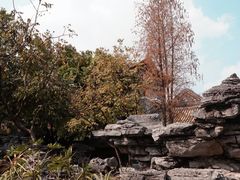 -顺峰山公园