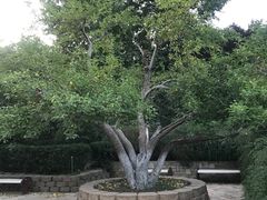 -元大都城垣遗址公园