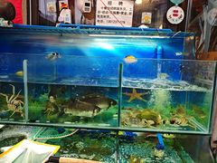 -牟记江湖重庆地标特色菜鱼蛋海鲜无刺鲫鱼(巴南区黑金冠十多年好店)