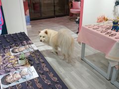 -肆兮眼镜·蔡司·徕卡战略合作店(大坪店)