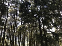 -石棉县孟获城