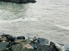 -三山岛