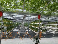 -兴芮温泉度假区