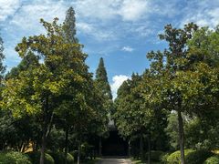 -太平天国侍王府