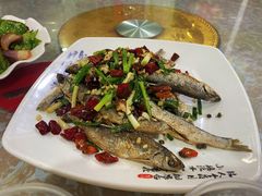 -谭家菜农夫山庄