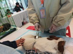 -万达广场(龙湖店)