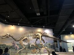 -辽宁古生物博物馆