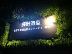 点击看大图 -藤野造型