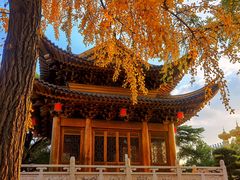 -上海东林寺(金山区)