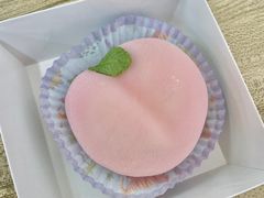 -六伴夏烘焙蛋糕·低糖动物奶油