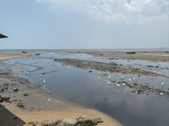 -兰坡海鲜市场
